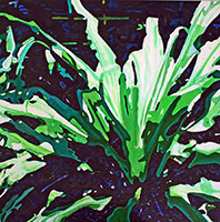 Image 2 - Crinum-Changes,-36-x-36,-acrylic-on-----canvas,-Zanetti_edited-1