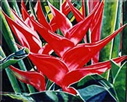 Image 33 - Rose Lake Heliconia