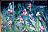 539millionirises_fs