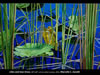 Image: 1 - :Everglades Series II - Lilies and Saw Grass
