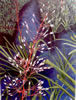 Image: 40 - Painting Gallery: Bullis-Bromeliad