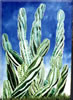 Image: 43 - Painting Gallery: Curlycactus