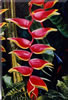 Image: 52 - Painting Gallery: Heliconias and Snakes