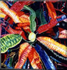 Image: 22 - Painting Gallery: Wild Croton