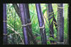 Title: Black Bamboo