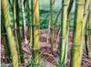 Title: Bamboo Shadows