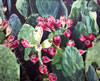 Title: Giclee Ready To Print 2