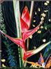 Painting Gallery: Flower Show Heliconia